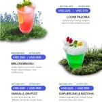 Cocktail-2