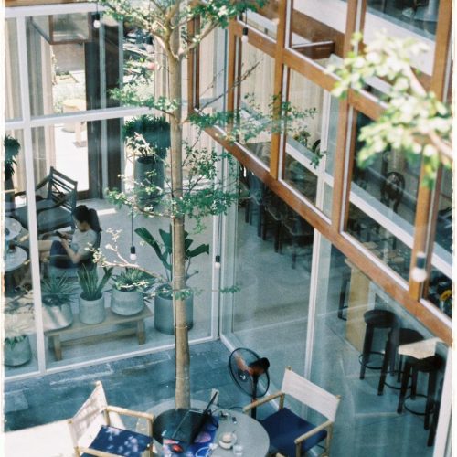 sunday bistro